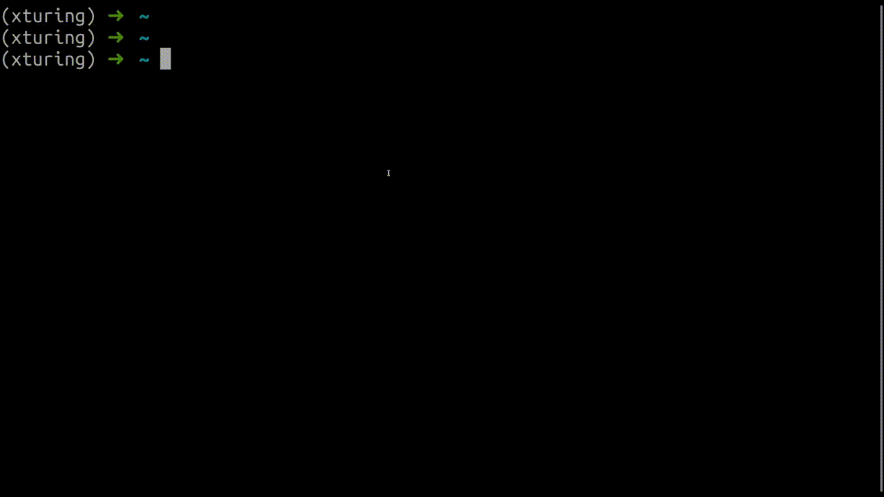 xturing screenshot 3