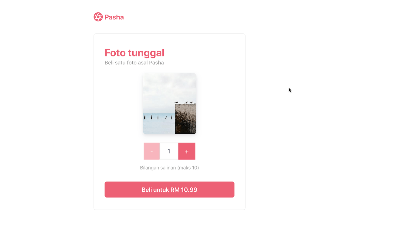 checkout-one-time-payments screenshot 3