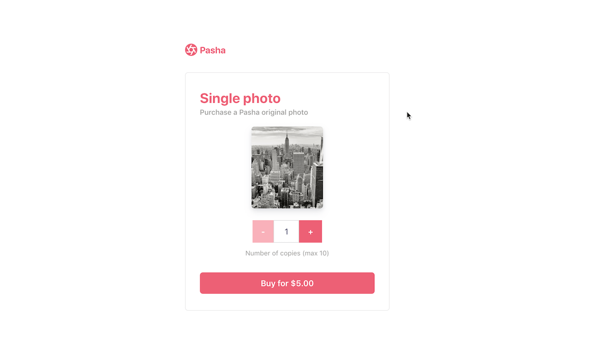 checkout-one-time-payments screenshot 1