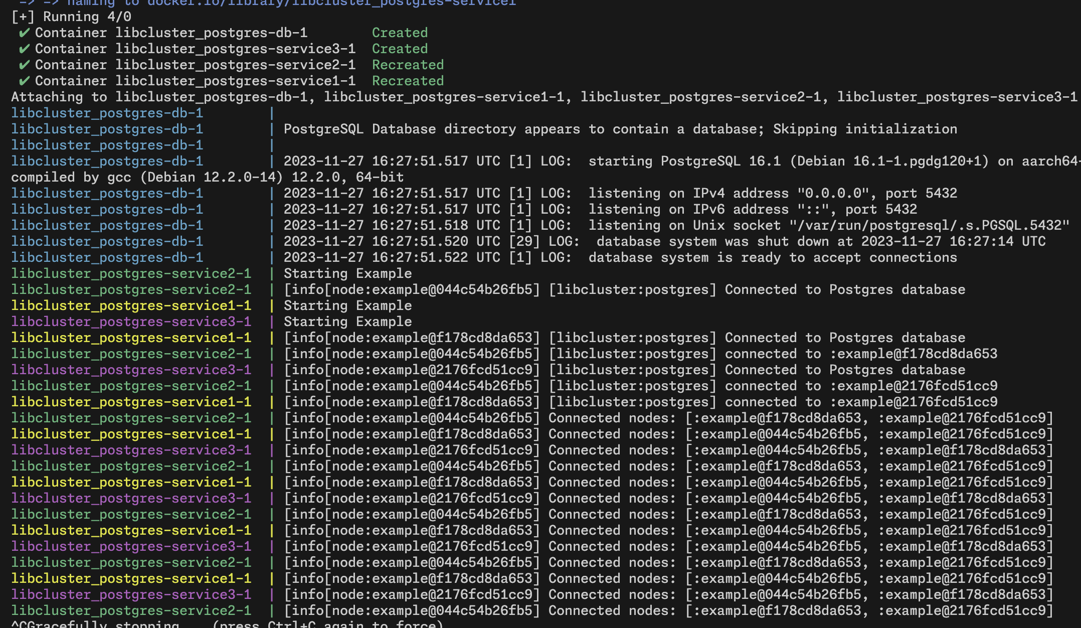 libcluster_postgres screenshot 1