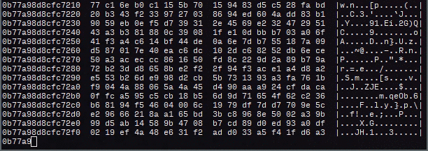 genact screenshot 2
