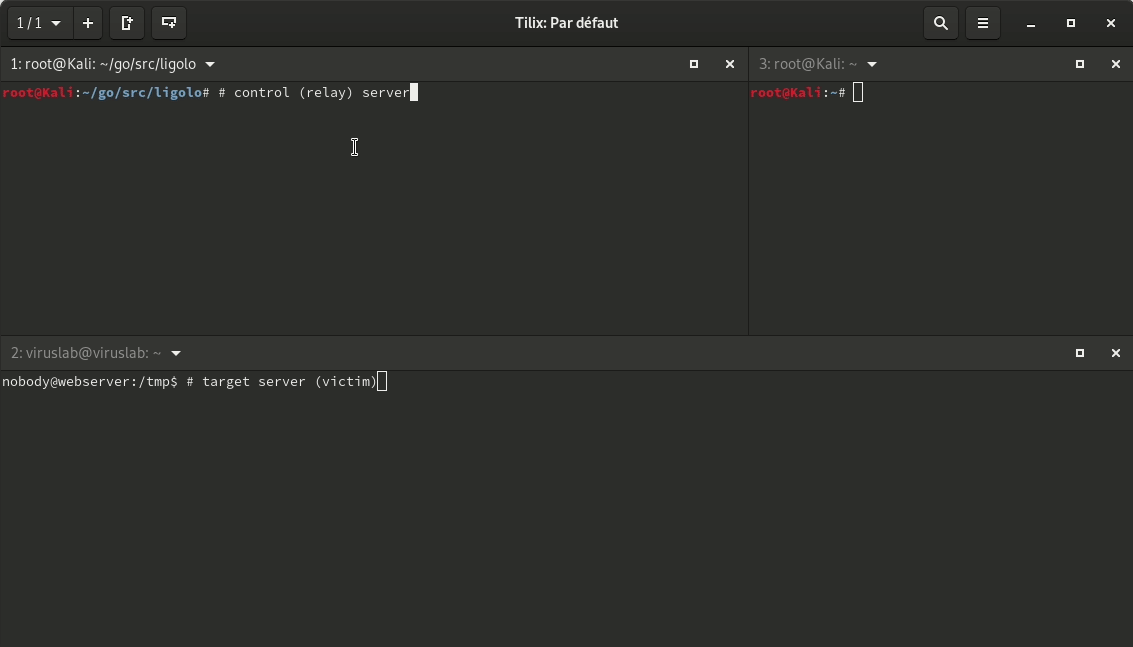 ligolo screenshot 2