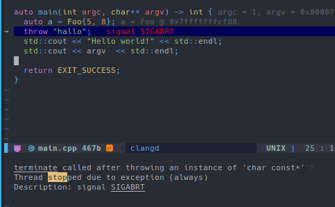 nvim-dap-virtual-text screenshot 8