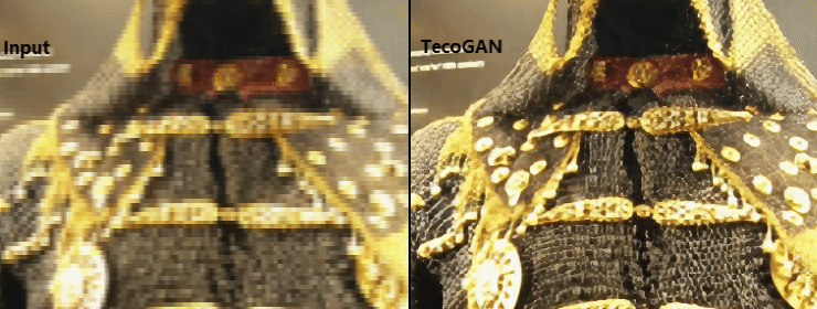 TecoGAN screenshot 3