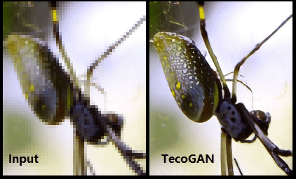 TecoGAN screenshot 4