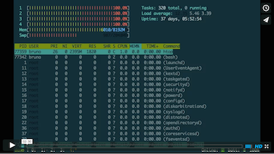 tmux-resurrect screenshot 1