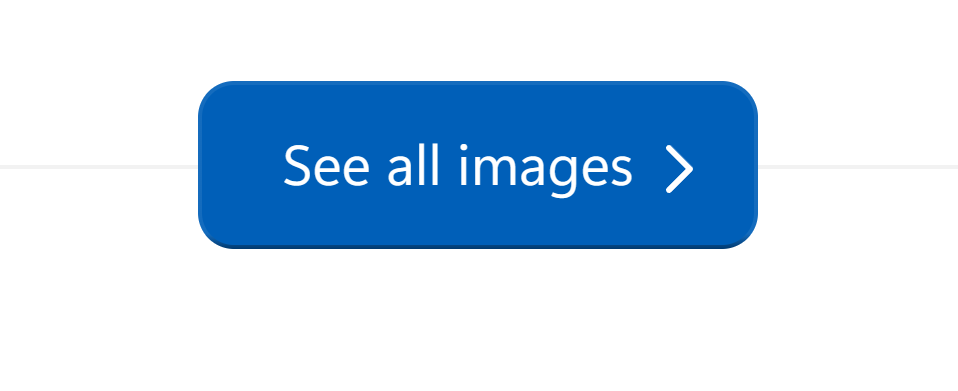 bing-fluent-skin screenshot 3