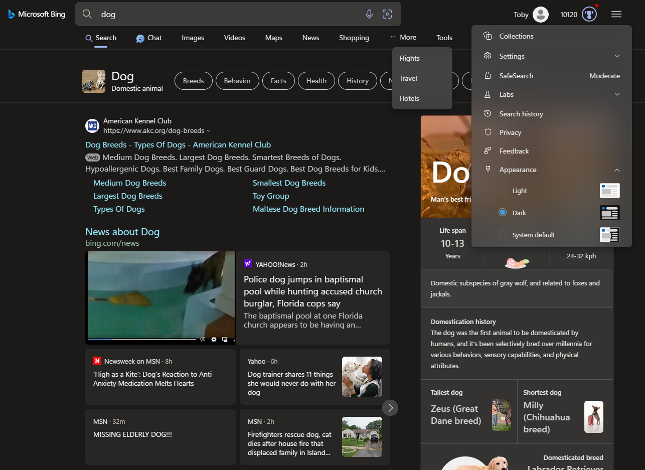 bing-fluent-skin screenshot 2