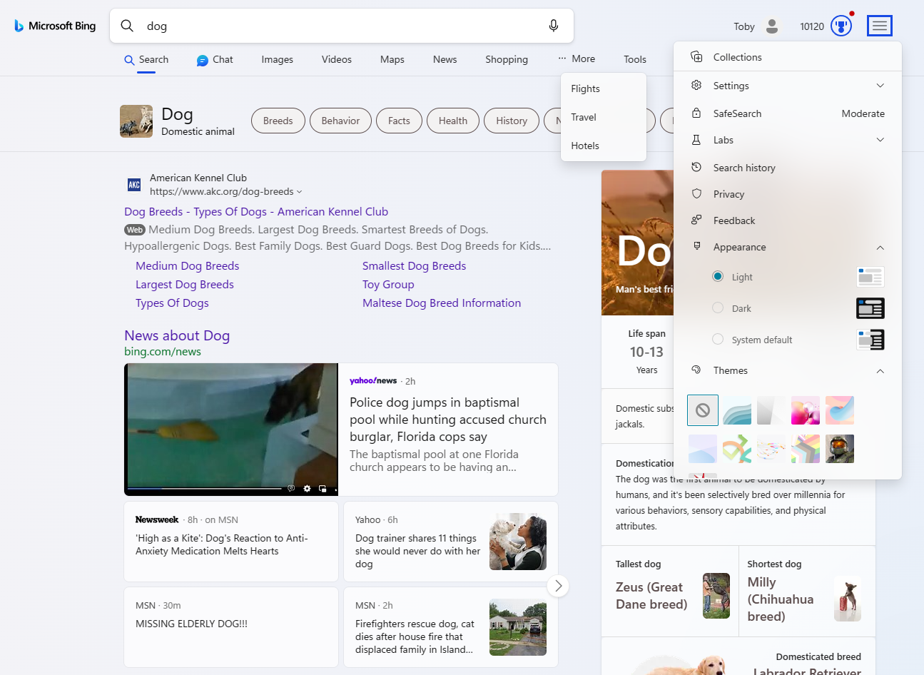 bing-fluent-skin screenshot 1