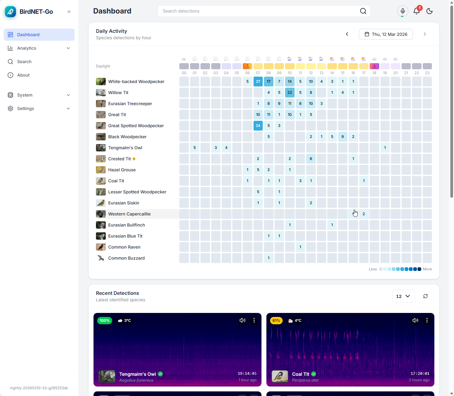 birdnet-go screenshot 2