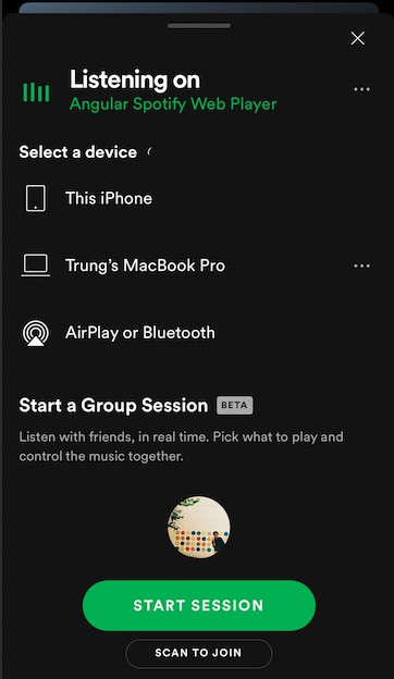 angular-spotify screenshot 8