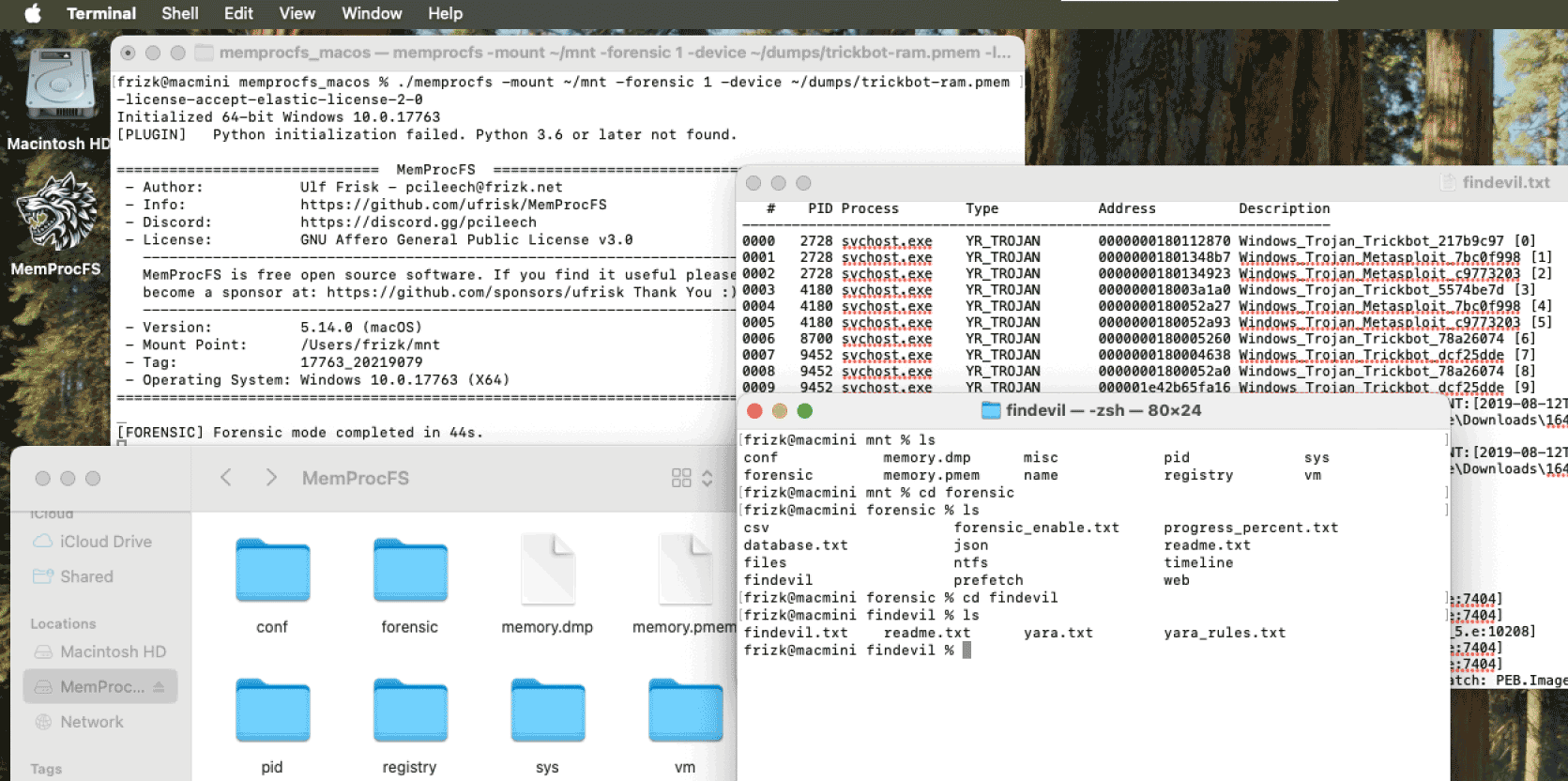 MemProcFS screenshot 4