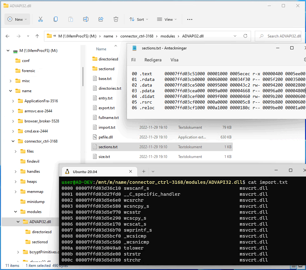 MemProcFS screenshot 3