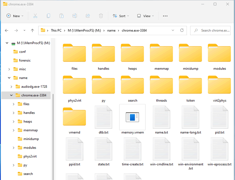 MemProcFS screenshot 1
