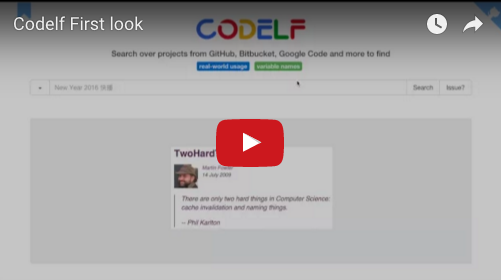 codelf screenshot 7
