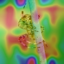 pytorch-cnn-visualizations screenshot 39