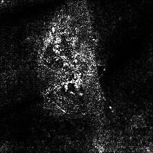 pytorch-cnn-visualizations screenshot 75