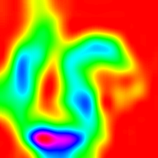 pytorch-cnn-visualizations screenshot 34