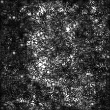 pytorch-cnn-visualizations screenshot 9