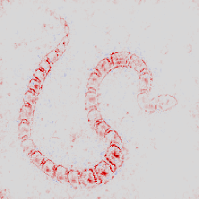 pytorch-cnn-visualizations screenshot 52