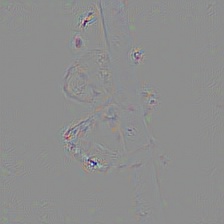 pytorch-cnn-visualizations screenshot 42