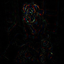 pytorch-cnn-visualizations screenshot 20