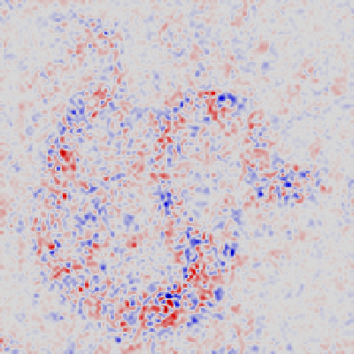 pytorch-cnn-visualizations screenshot 49