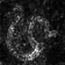 pytorch-cnn-visualizations screenshot 55