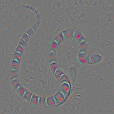 pytorch-cnn-visualizations screenshot 10