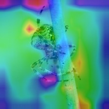 pytorch-cnn-visualizations screenshot 30