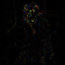 pytorch-cnn-visualizations screenshot 17