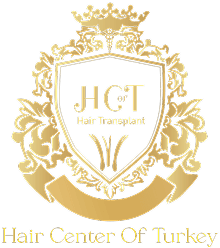 vuetify screenshot 3