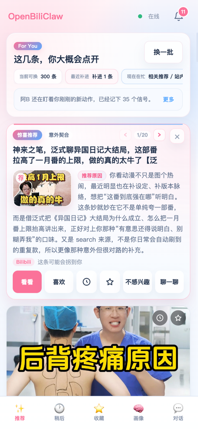 OpenBiliClaw screenshot 11