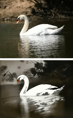 Rerender_A_Video screenshot 8
