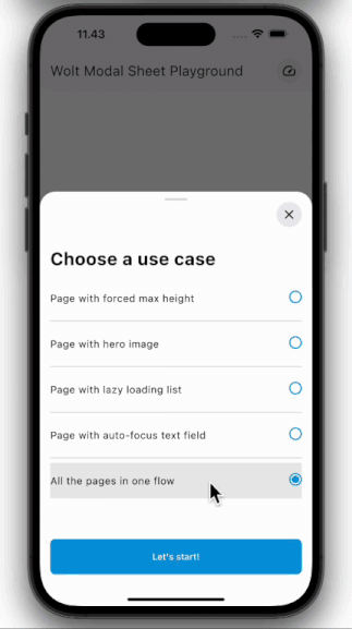 wolt_modal_sheet screenshot 4
