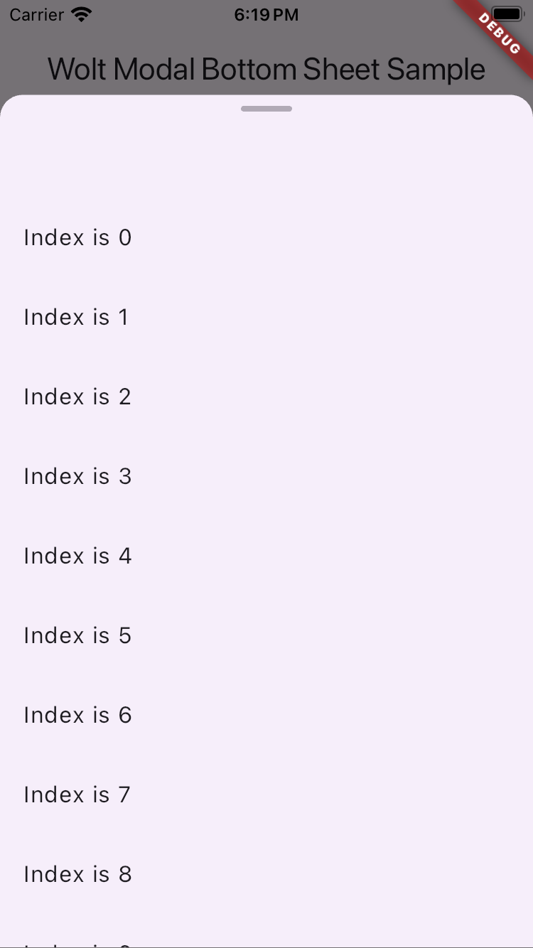 wolt_modal_sheet screenshot 1