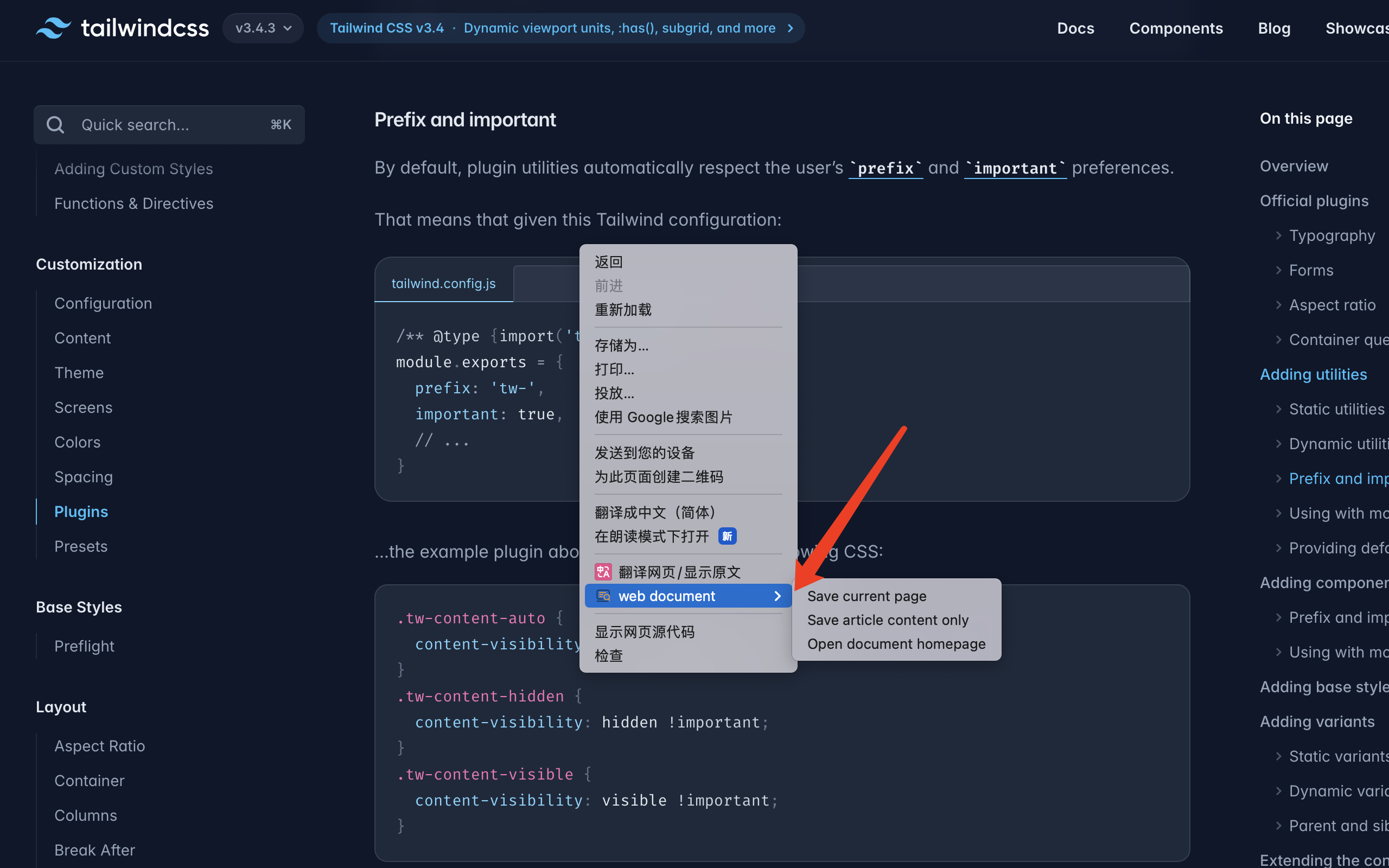 web-document screenshot 1