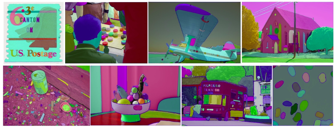 TinySAM screenshot 3