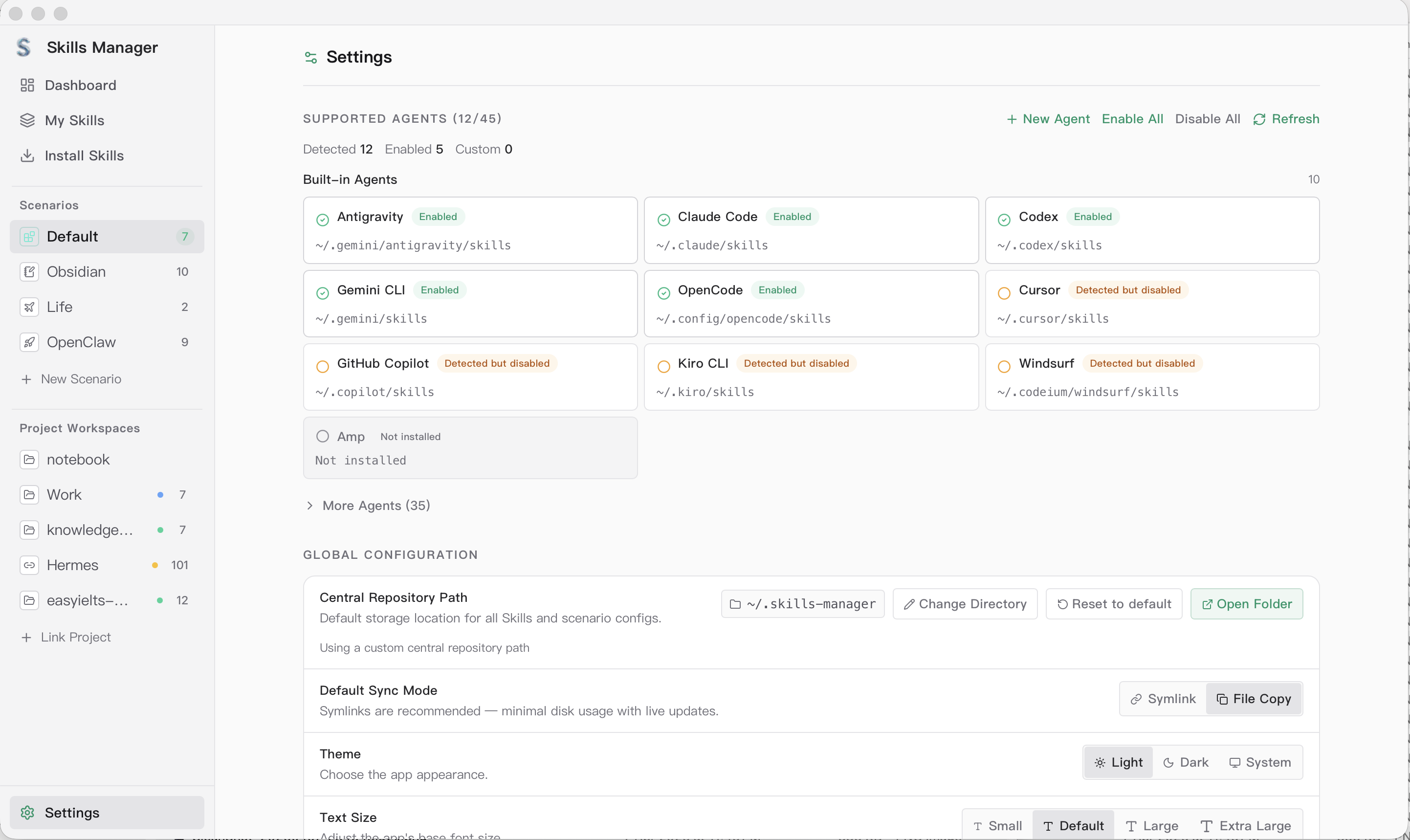 skills-manager screenshot 5
