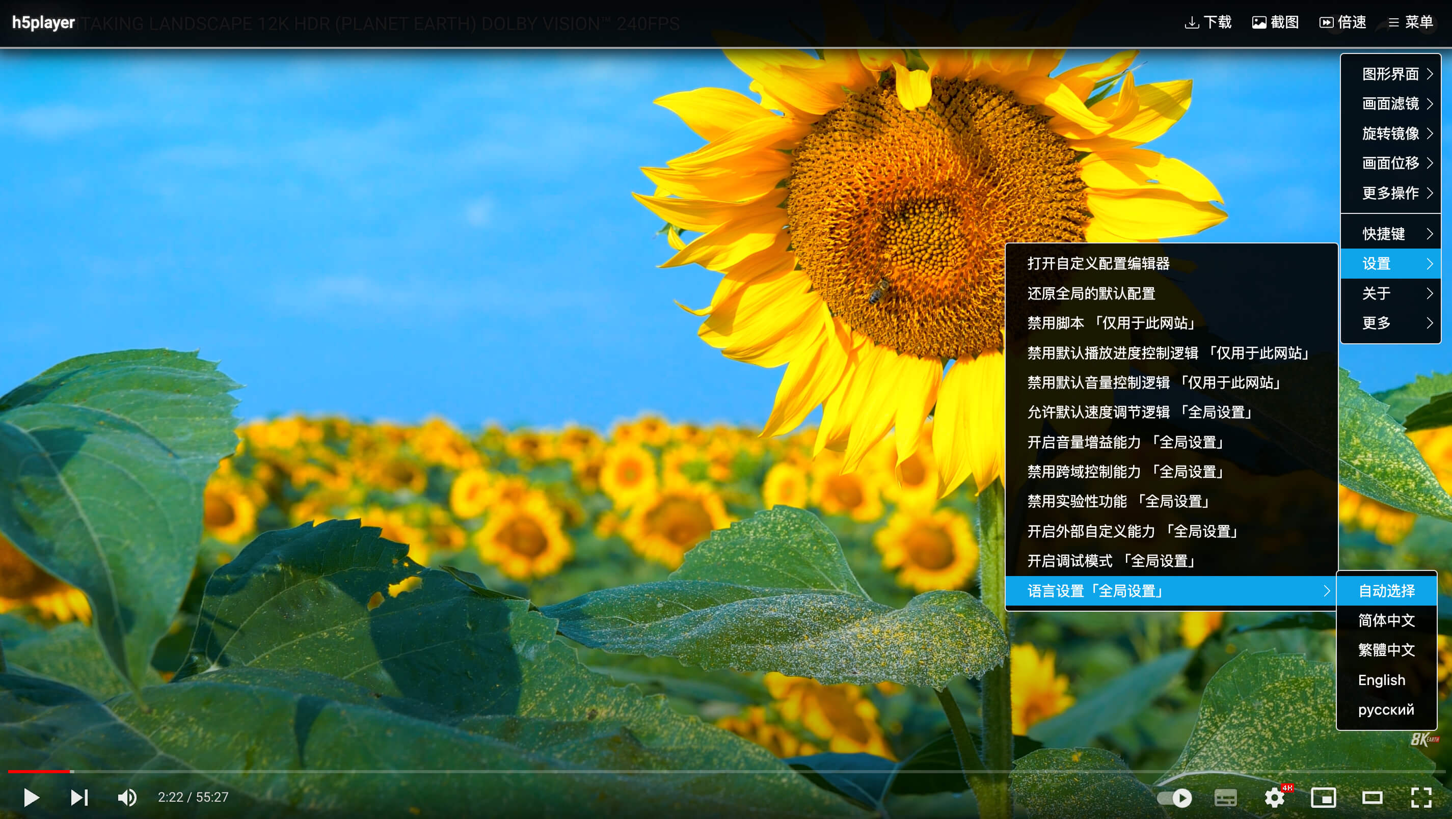 h5player screenshot 1