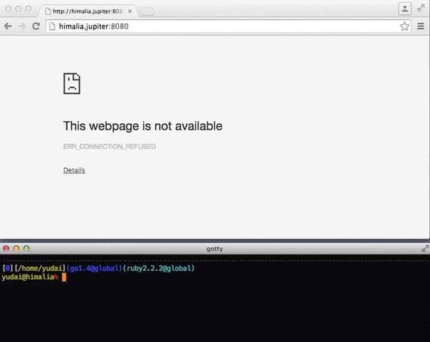 gotty screenshot 1