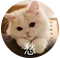 afrog screenshot 21