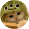 afrog screenshot 29