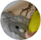 afrog screenshot 16
