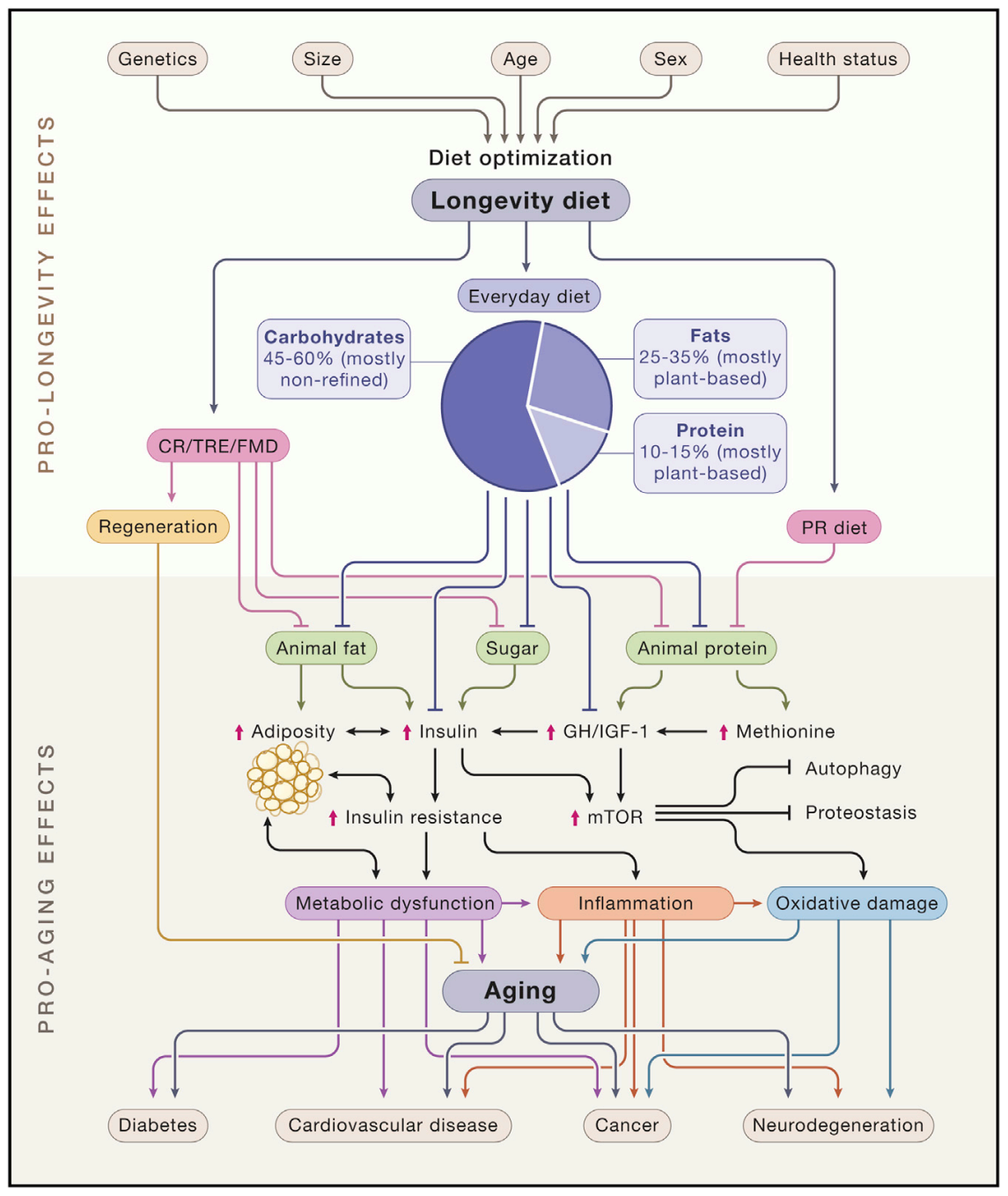 HumanSystemOptimization screenshot 1