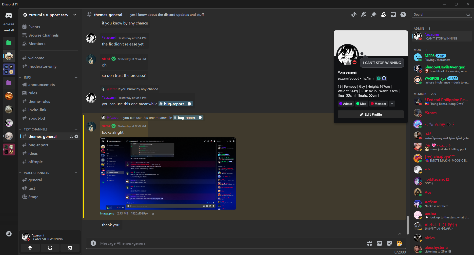 Discord-11 screenshot 2